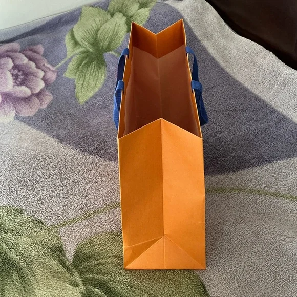 Louis Vuitton Gift Bag - Picture 4 of 10